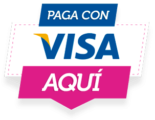 Visa